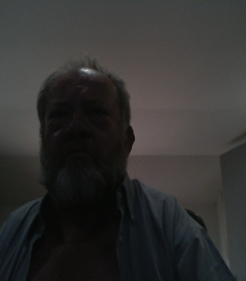 Illustration du profil de selligus