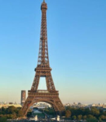 Illustration du profil de Dadi