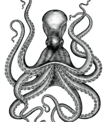 Illustration du profil de Blackout63