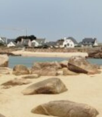 Profile picture of Jojo22